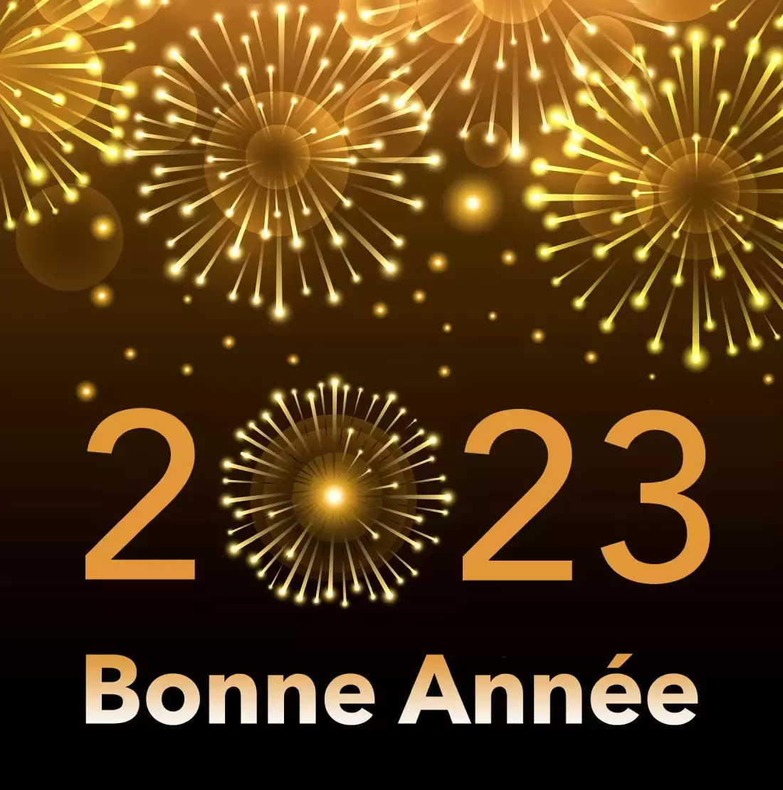 Bonne annee 076e